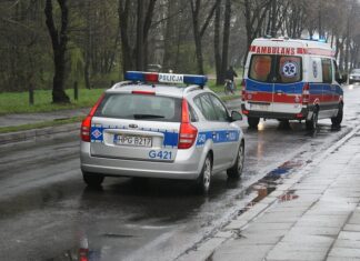 ile mam punktów karnych