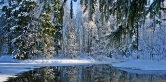 Czy motor może stać na mrozie?