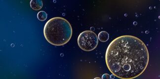 Ile oleju do skrzyni Opel Antara?