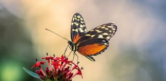 Jak zamontować antenę GPS w samochodzie?