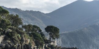 Ile kosztuje samochód Renault?