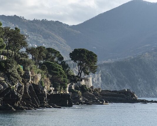 Ile kosztuje samochód Renault?