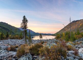 Jak usunąć szumy w radiu samochodowym?