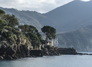 Ile kosztuje nowy Captur? Ile kosztuje nowy Captur?