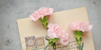 Co oznacza znaczek Seata?