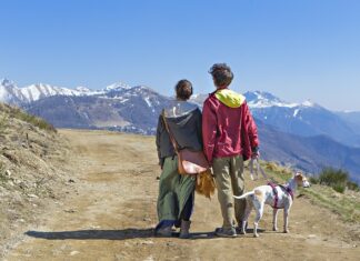 Czy można oglądać TV w samochodzie?